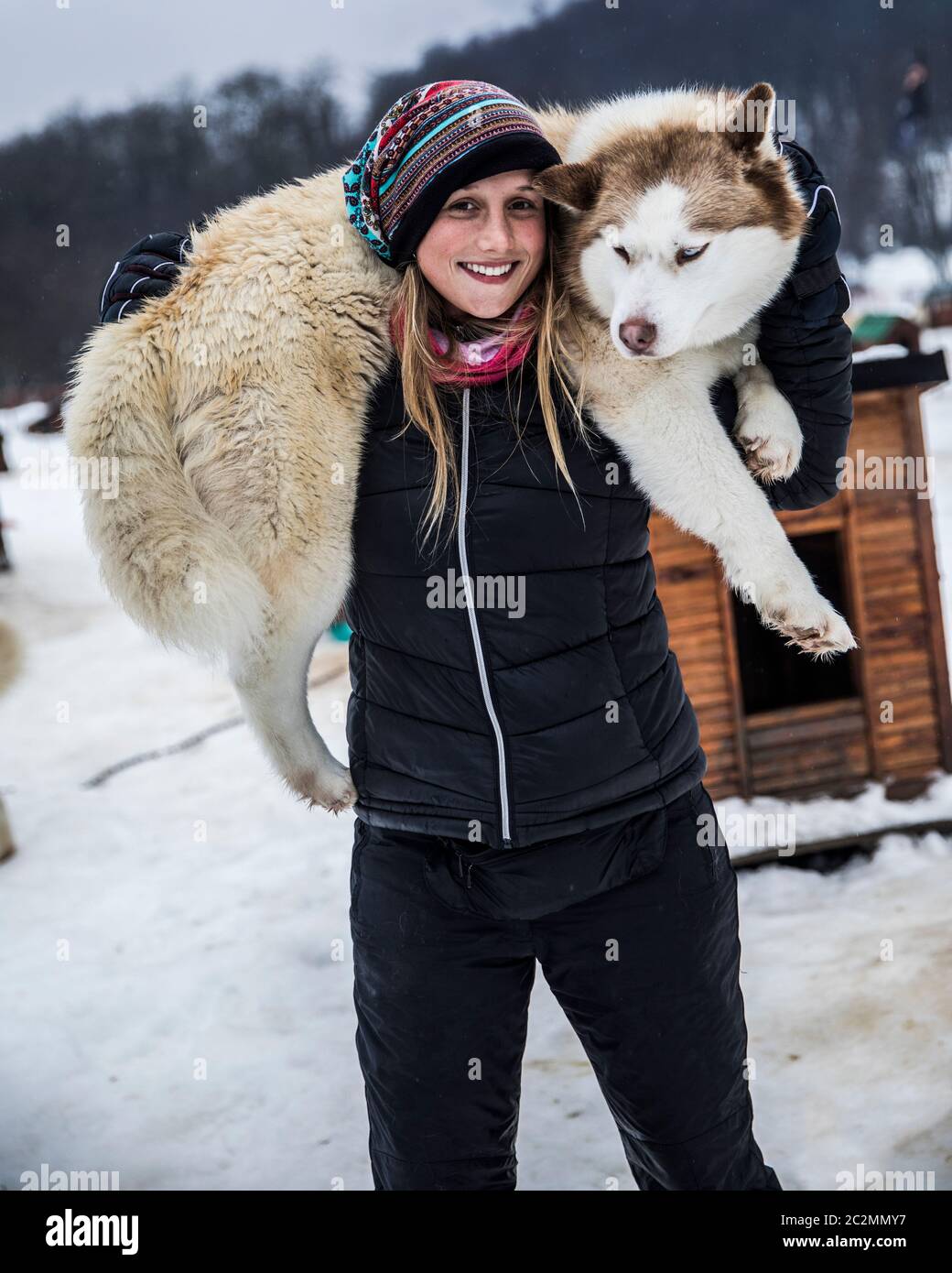 Junge Frau im Winter spielt mit einem sibirischen Hund Stockfoto