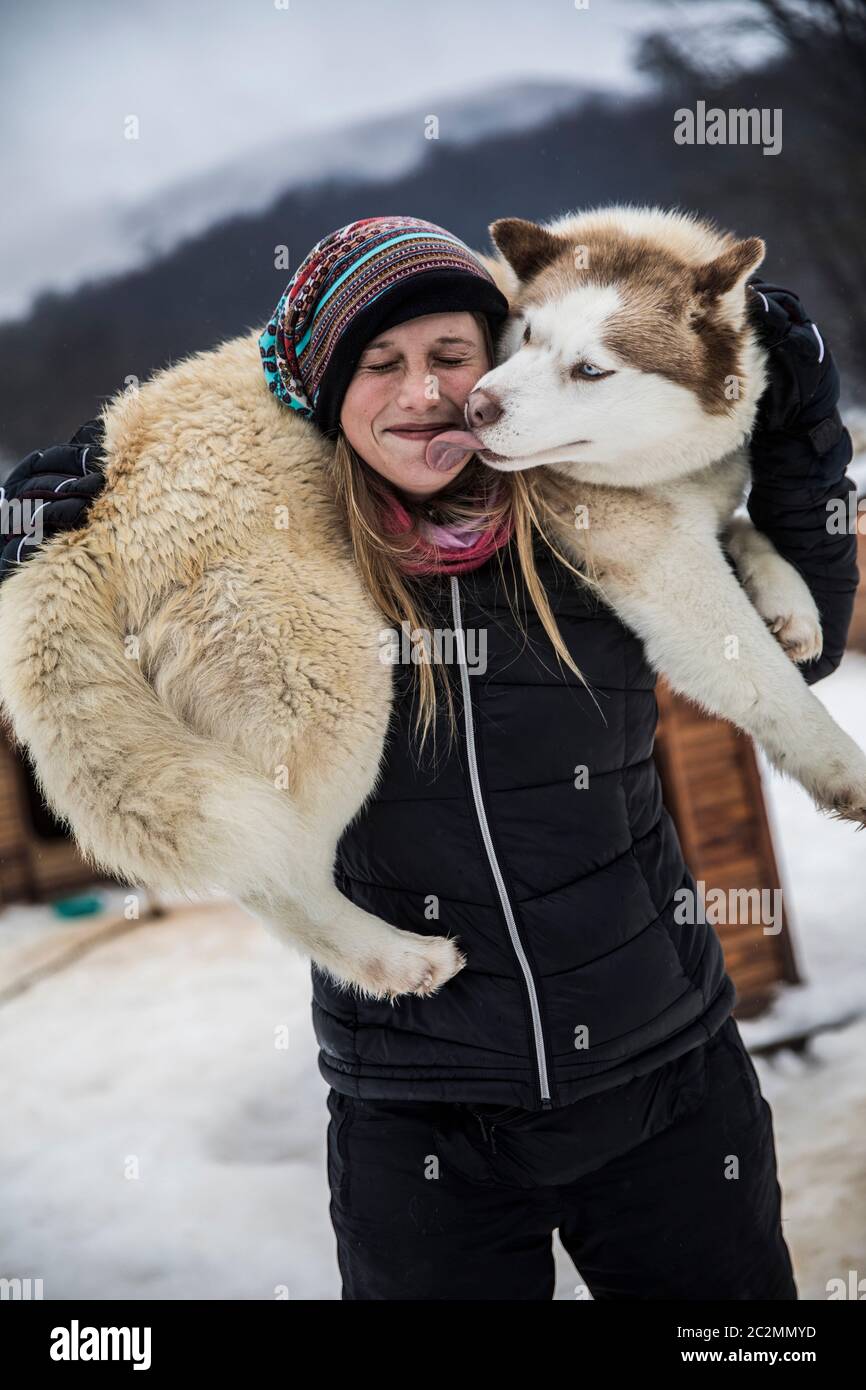 Sibirischer Hund leckt das Gesicht der jungen, blonden Frau. Stockfoto
