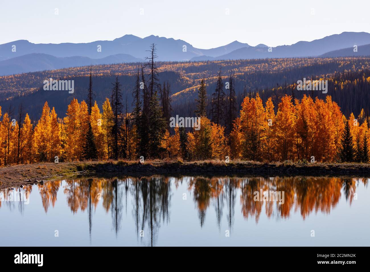Reflexion der Aspens im Herbst in Deer Lakes, Grand Mesa-Uncompahgre-Gunnison National Forest, San Juan Mountains, Colorado Stockfoto