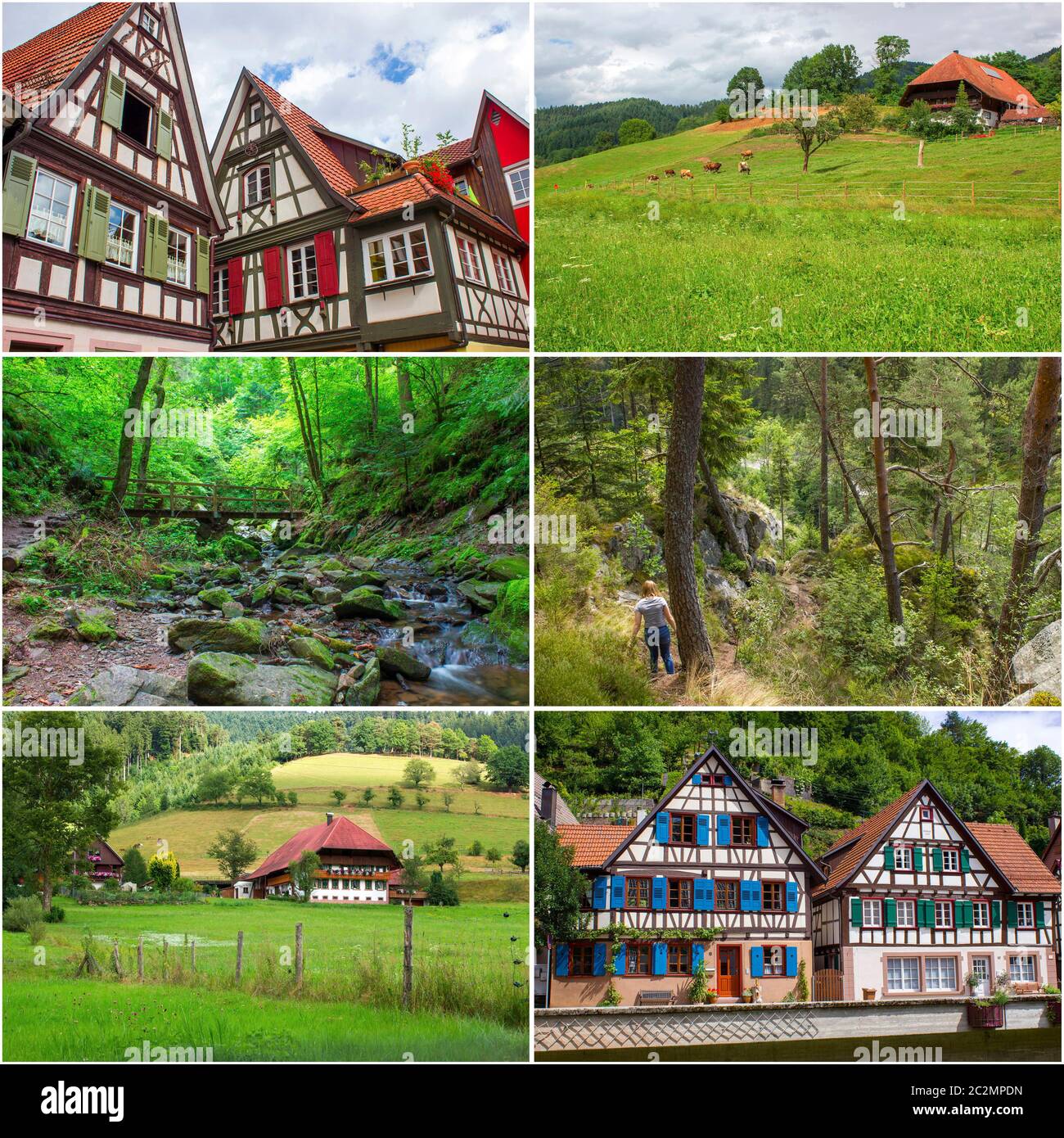 Collage mit Bildern mit Schwarzwald in Deutschland Stockfoto