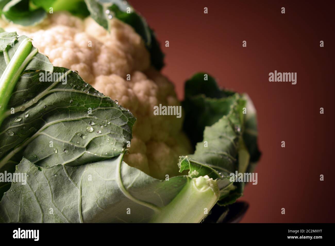 Frischer Blumenkohl auf braunem Hintergrund Stockfoto