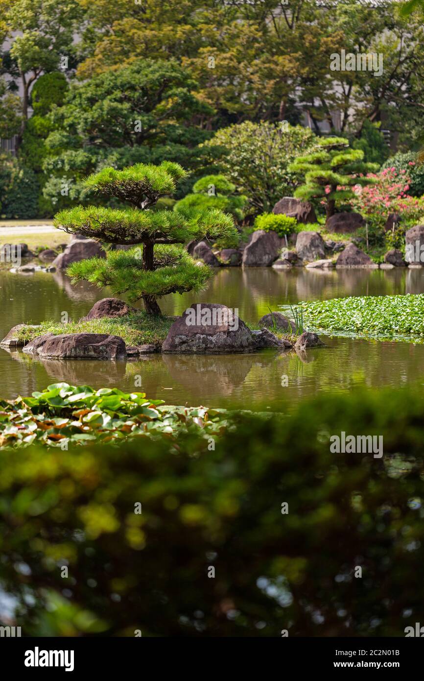 Schöner grüner japanischer traditioneller Park im Sommer Stockfoto
