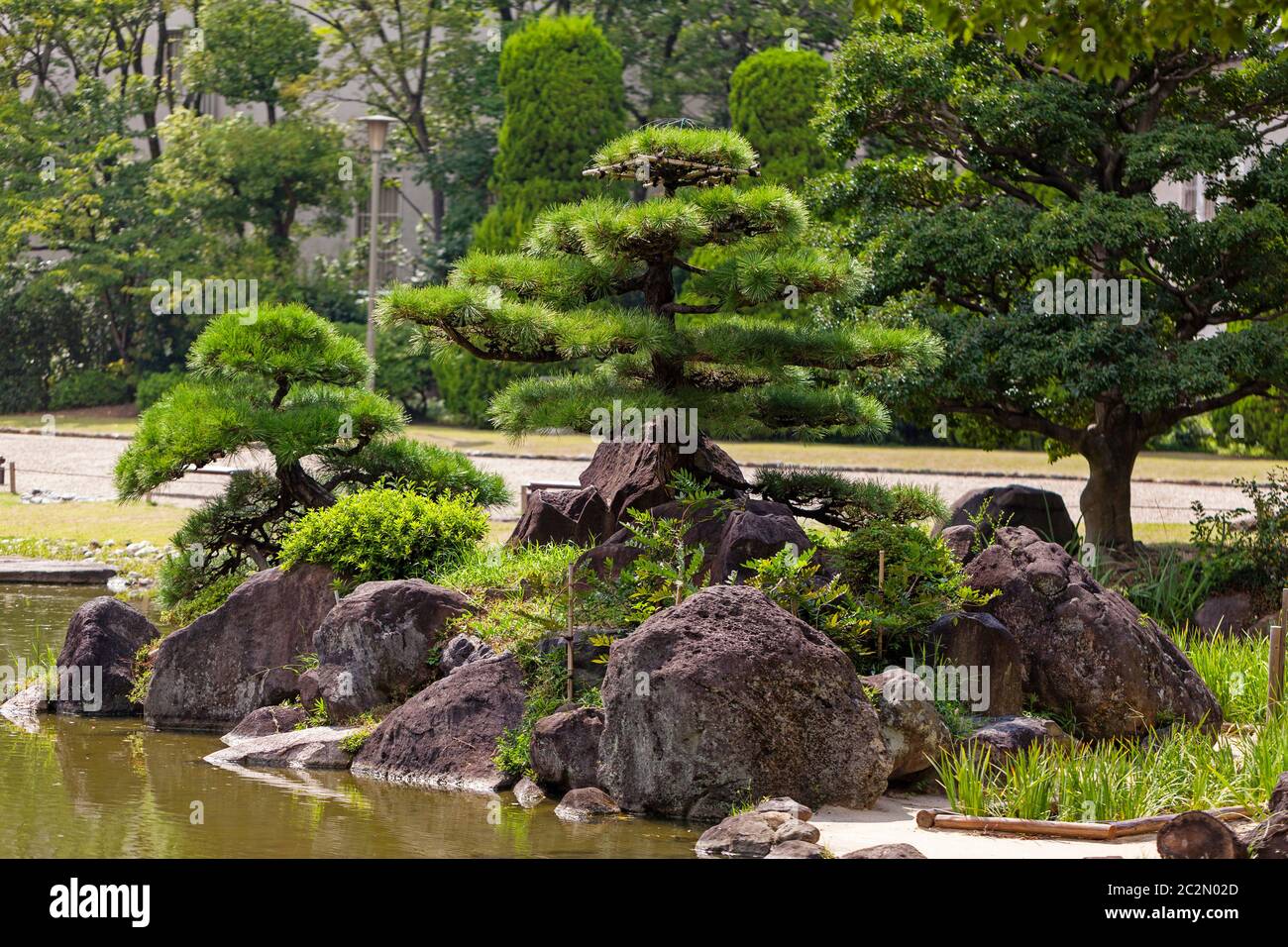 Schöner grüner japanischer traditioneller Park im Sommer Stockfoto