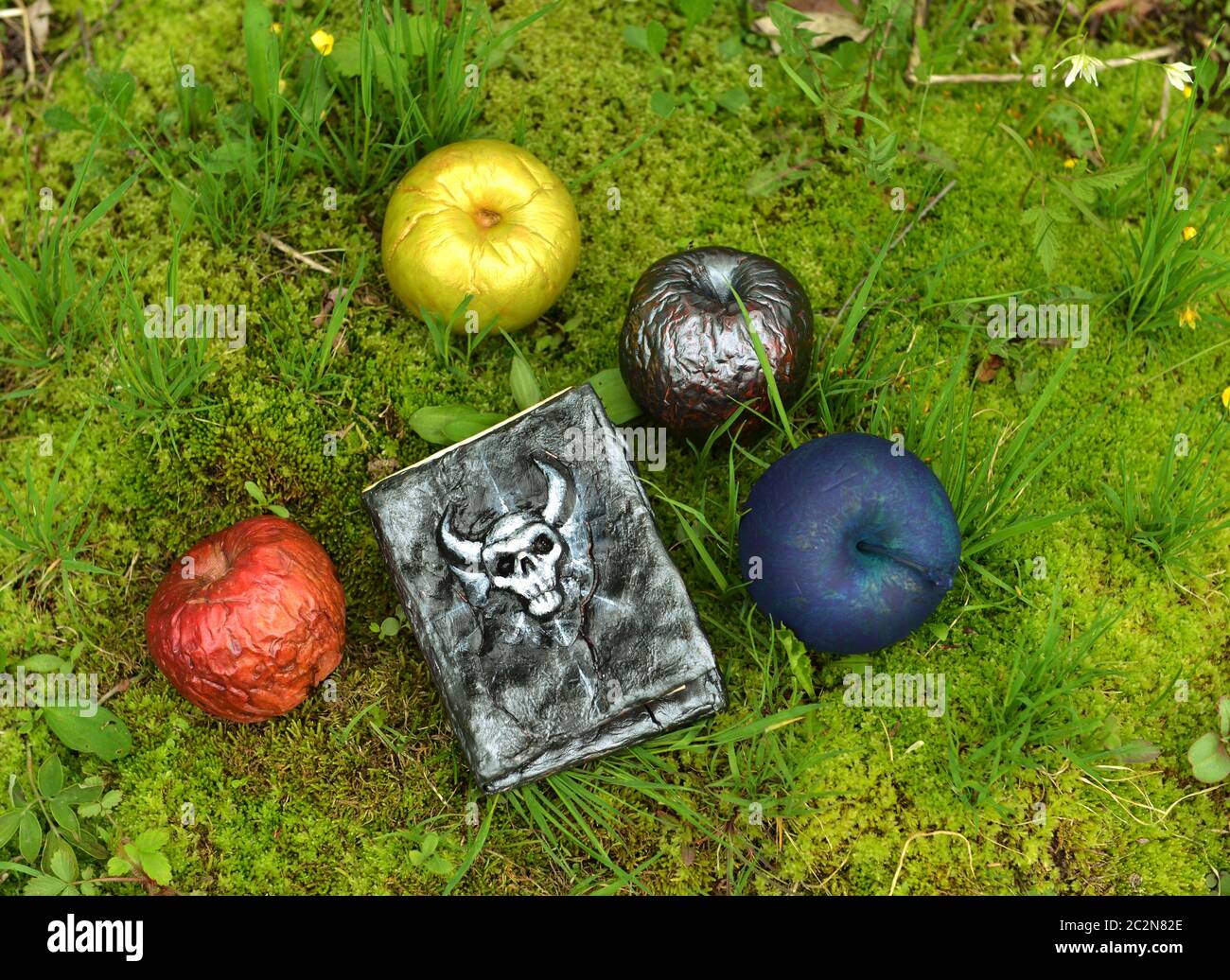 Böses Tagebuch und magische giftige Äpfel auf dem Gras im Garten. Esoterischer, gotischer und okkulter Hintergrund mit magischen Objekten, Mystik und Märchen Stockfoto