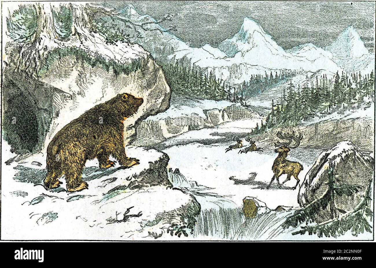 Ideale Landschaft des Zentrums von Europa, in der Eiszeit., Vintage graviert Illustration. Von der natürlichen Schöpfung und Lebewesen. Stockfoto