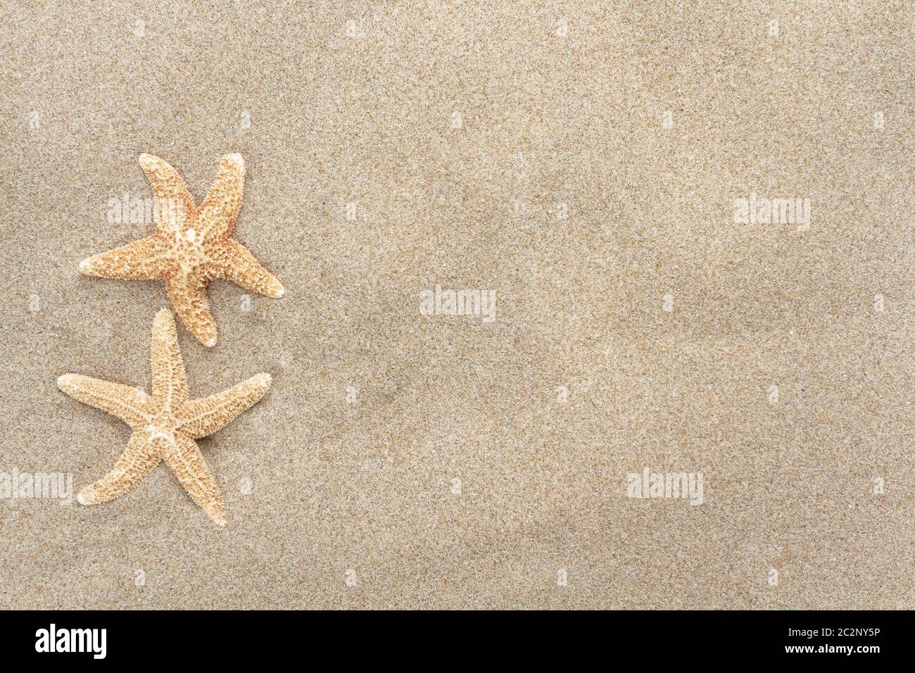 Seesterne auf dem Sand des Meeres Stockfoto