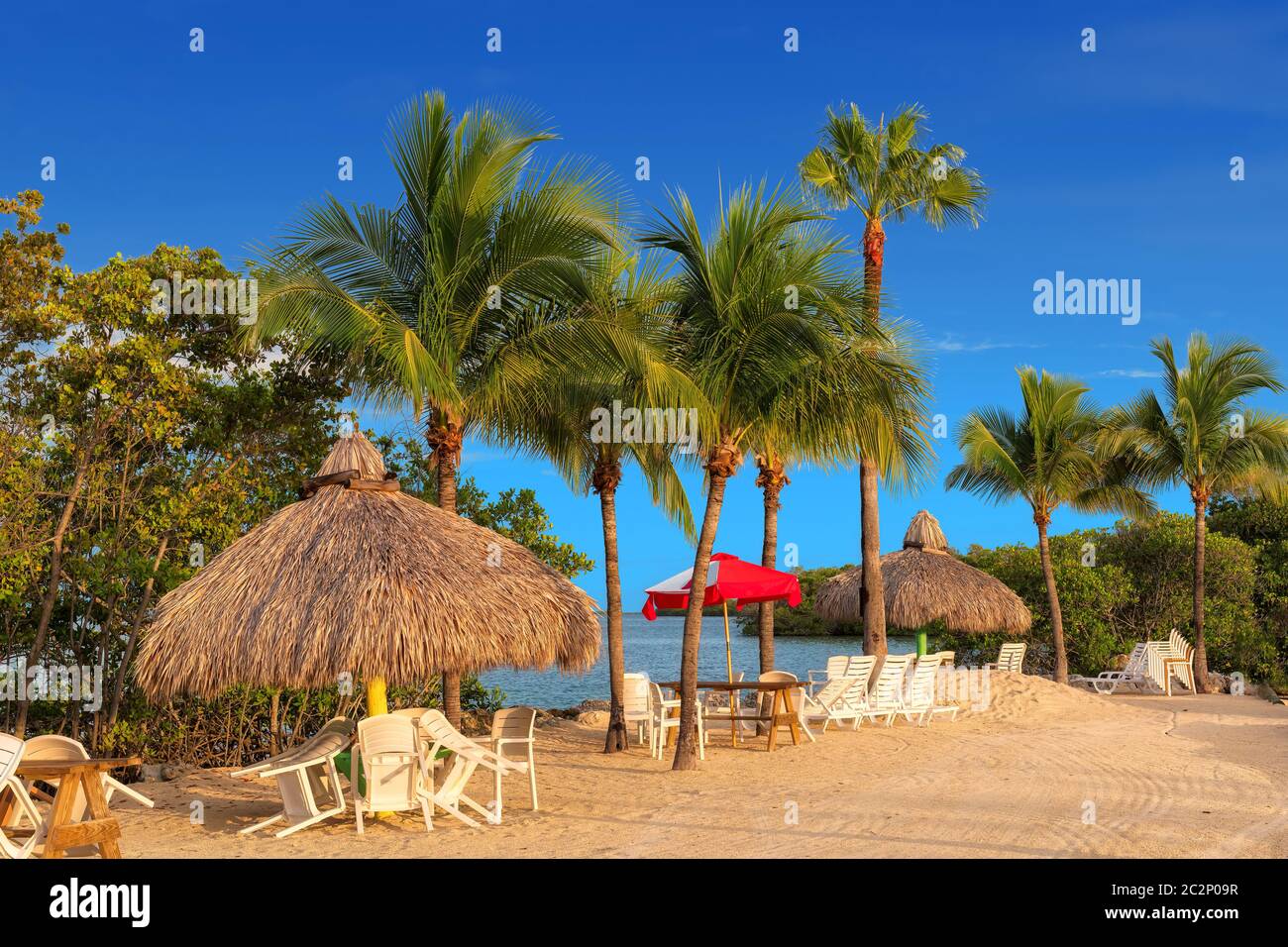 Tropischer Strand in Florida Keys Stockfoto