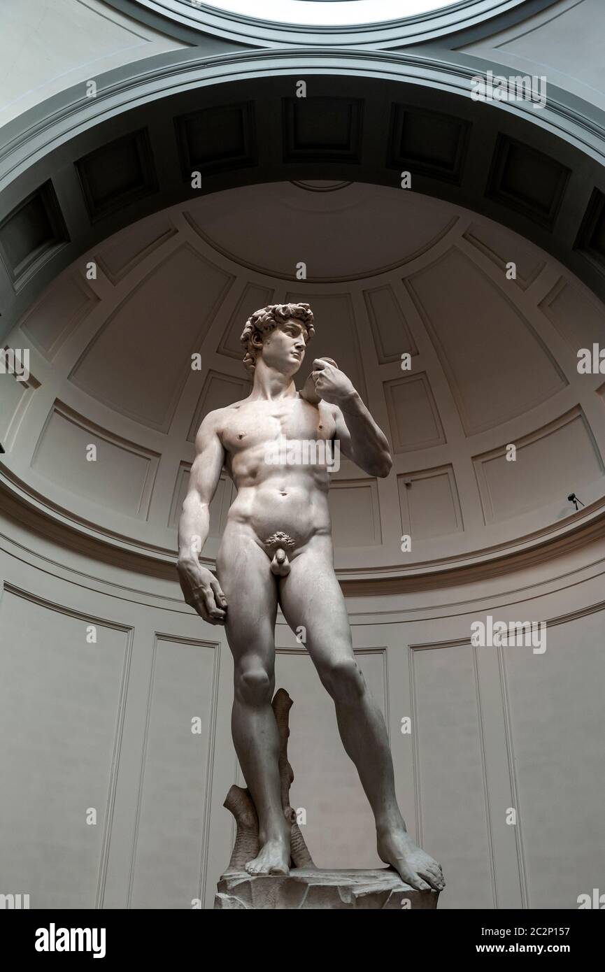 Die Statue von David von Michelangelo ausgestellt in der Galleria dell'Accademia di Firenze (Galerie der Akademie von Florenz) in Florenz, Italien Stockfoto