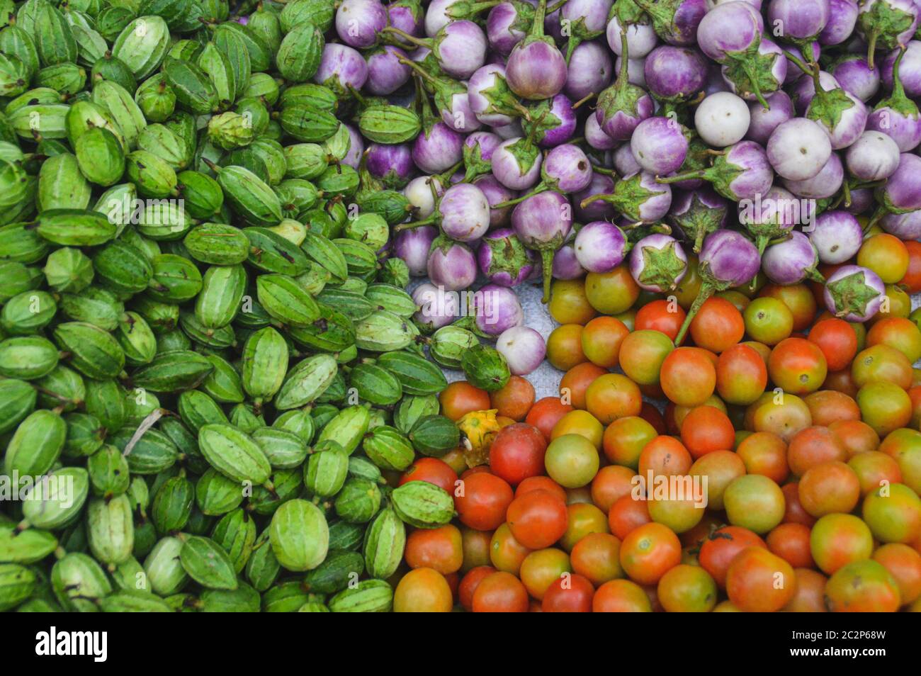 Frische Ernte von Bio-Gurken, Kermit Auberginen und Tomaten Stockfoto
