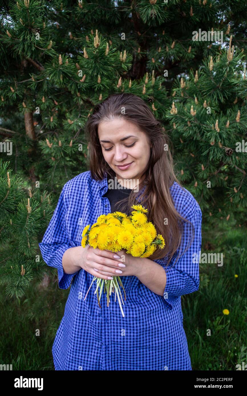 Junges Mädchen mit braunen Haaren und grünen Augen sammelt Blumen Löwenzahn Stockfoto