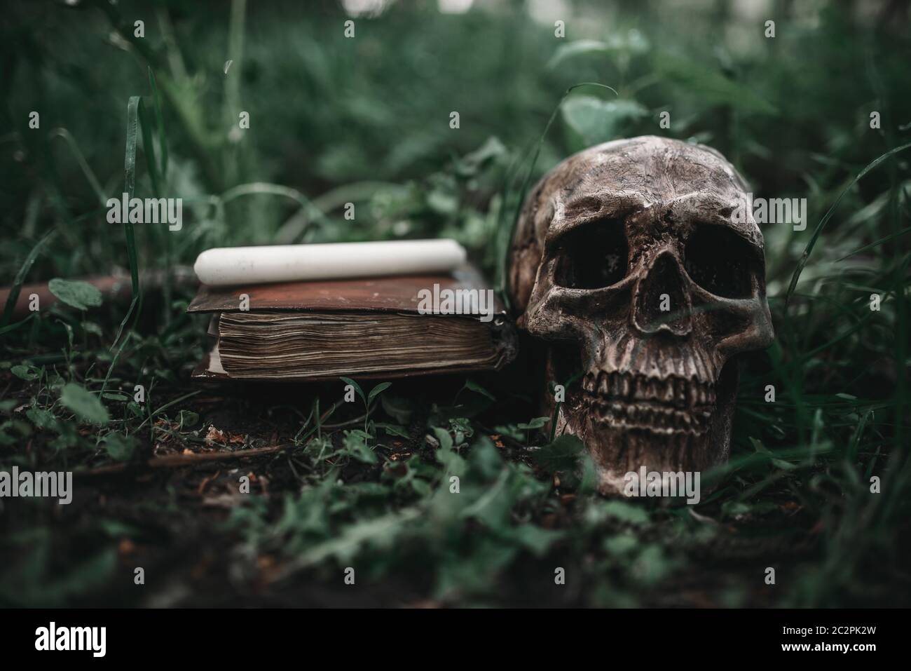 Schwarze Magie Buch mit okkulten Symbolen und menschlicher Schädel auf dem Gras in Wald geöffnet. Exorzismus und übernatürlichen Rituale Stockfoto