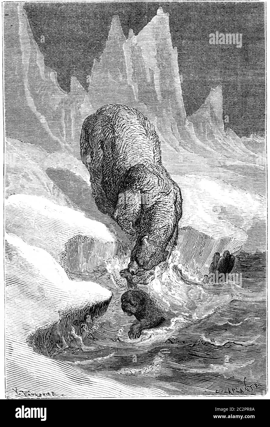 Eisbären Jagd Robben. Vintage gravierte Abbildung. Le Tour du Monde, Travel Journal, (1865). Stockfoto