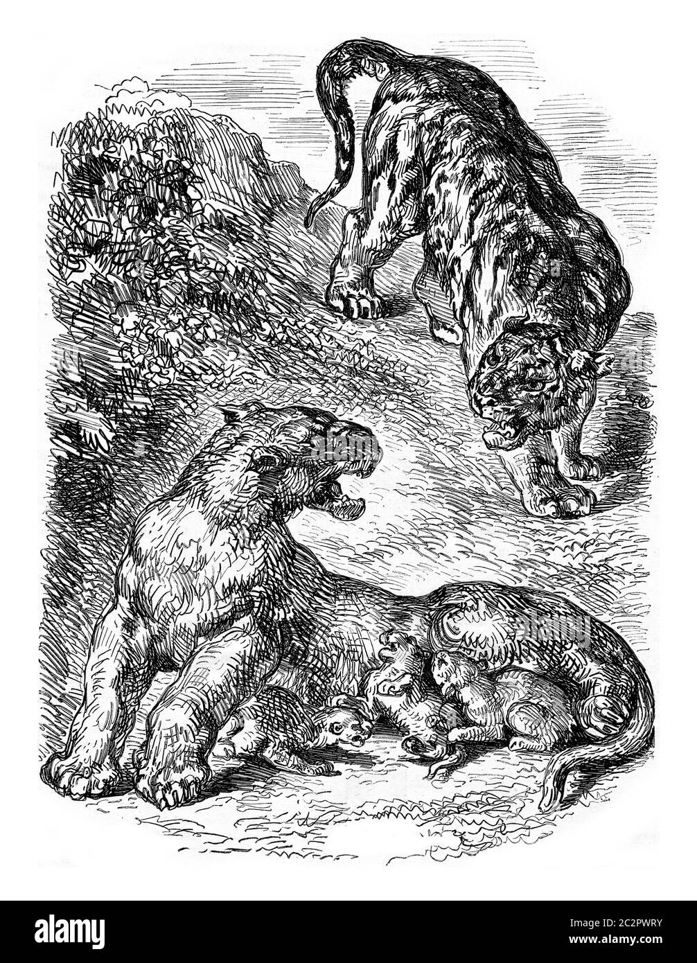 Herr Eugène Delacroix Zeichnung, Vintage gravierte Illustration. Magasin Pittoresque 1853. Stockfoto