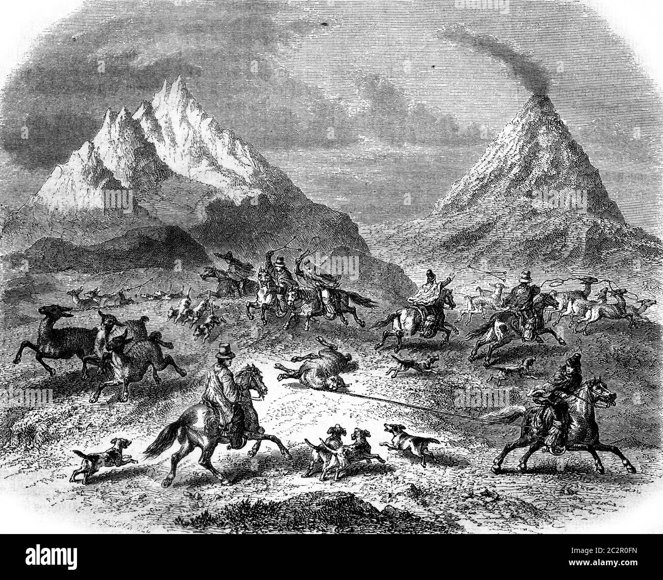 Die Jagd auf den Guanacos, in der Nähe des Vulkans Antuco, Vintage graviert Illustration. Magasin Pittoresque 1858. Stockfoto