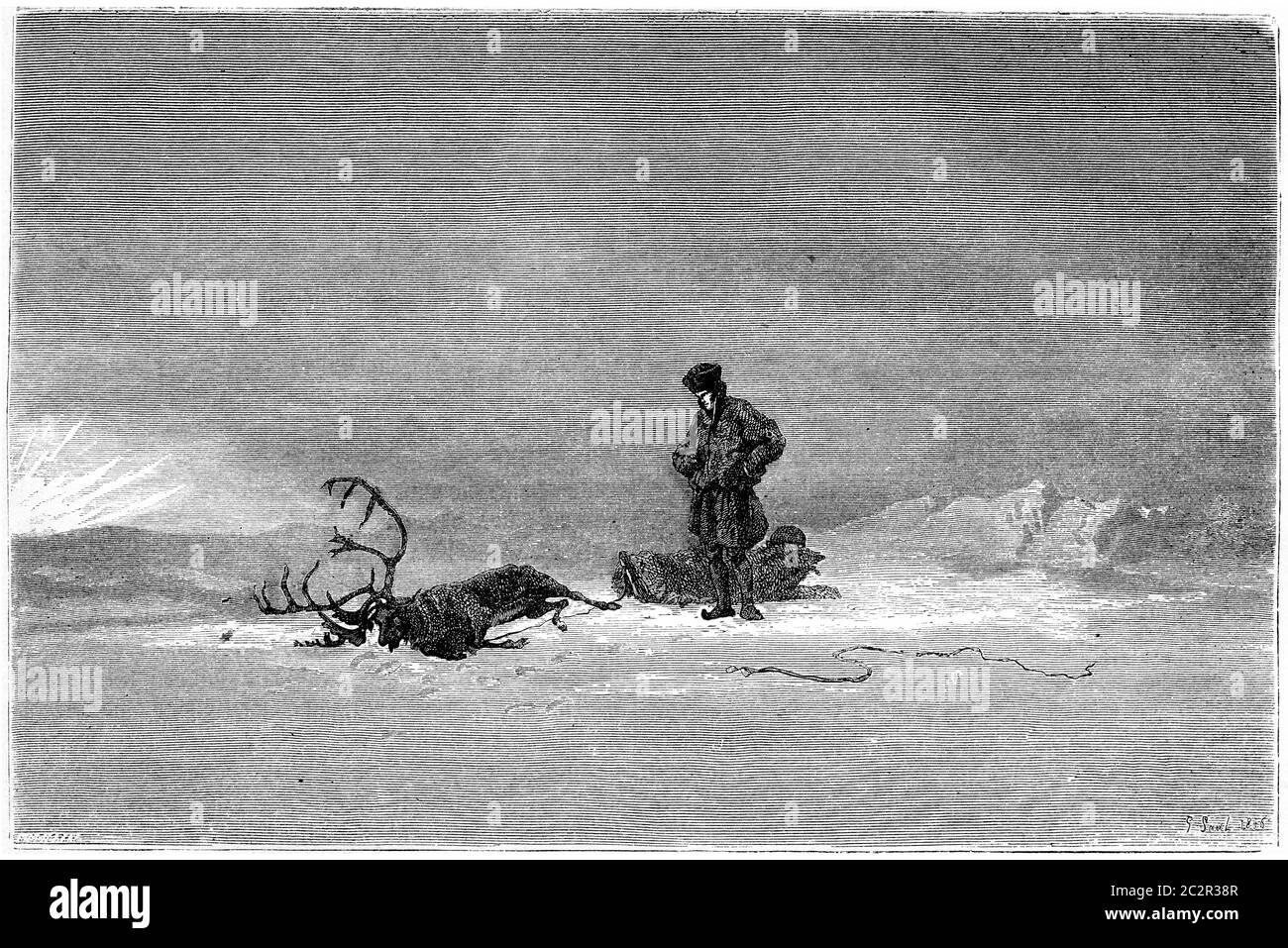 1866 Gemälde in einem Salon namens 'Winter in Lappland', der einen Reisenden zeigt, der über sein totes Rentier schaut, Illustration mit Vintage-Gravur. Magasin Pittor Stockfoto