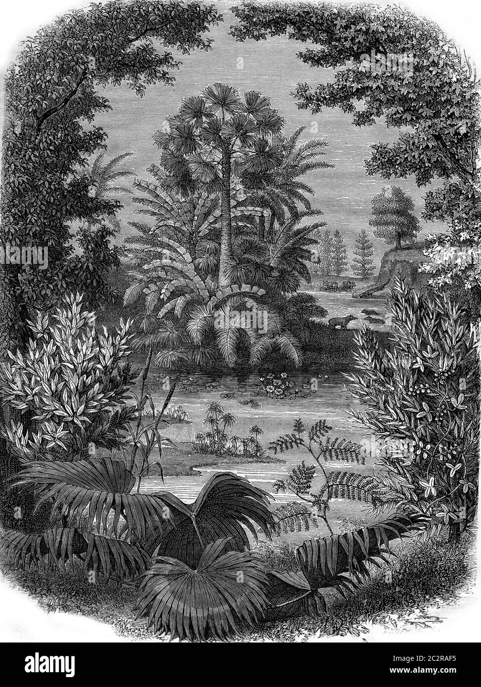 Eine Landschaft der Miozän-Epoche, Vintage gravierte Illustration. Magasin Pittoresque 1876. Stockfoto