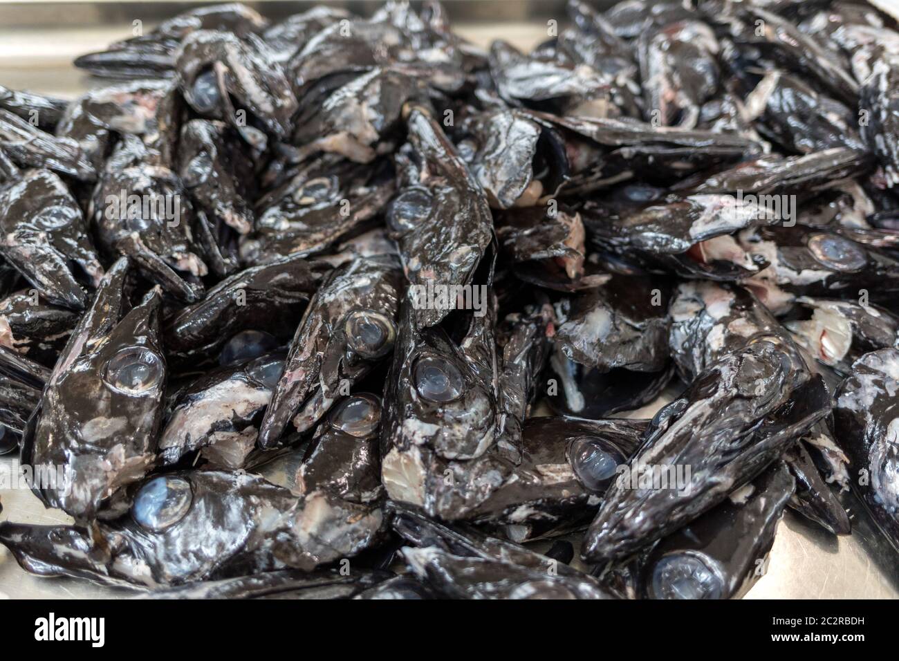 Fisch auf dem Markt, schwarze Scheide (espada) auf dem Fischmarkt Stockfoto