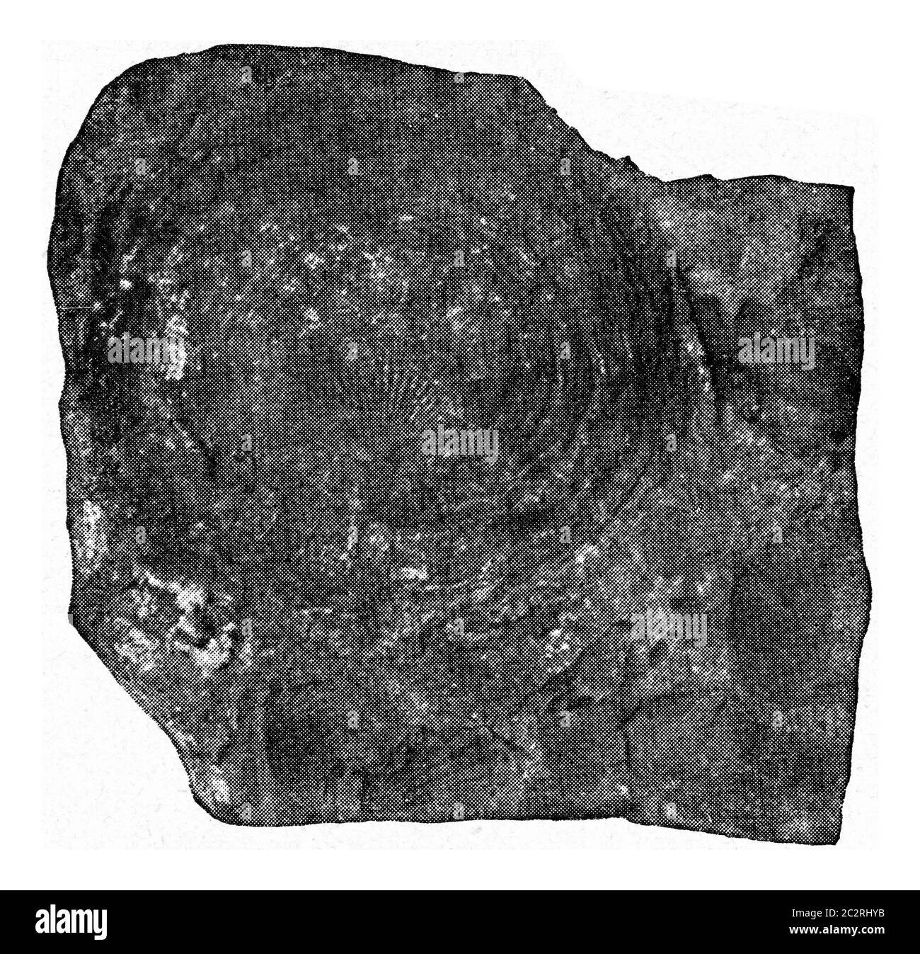 Steinerner Kern, Vintage gravierte Illustration. Aus dem Universum und der Menschheit, 1910. Stockfoto