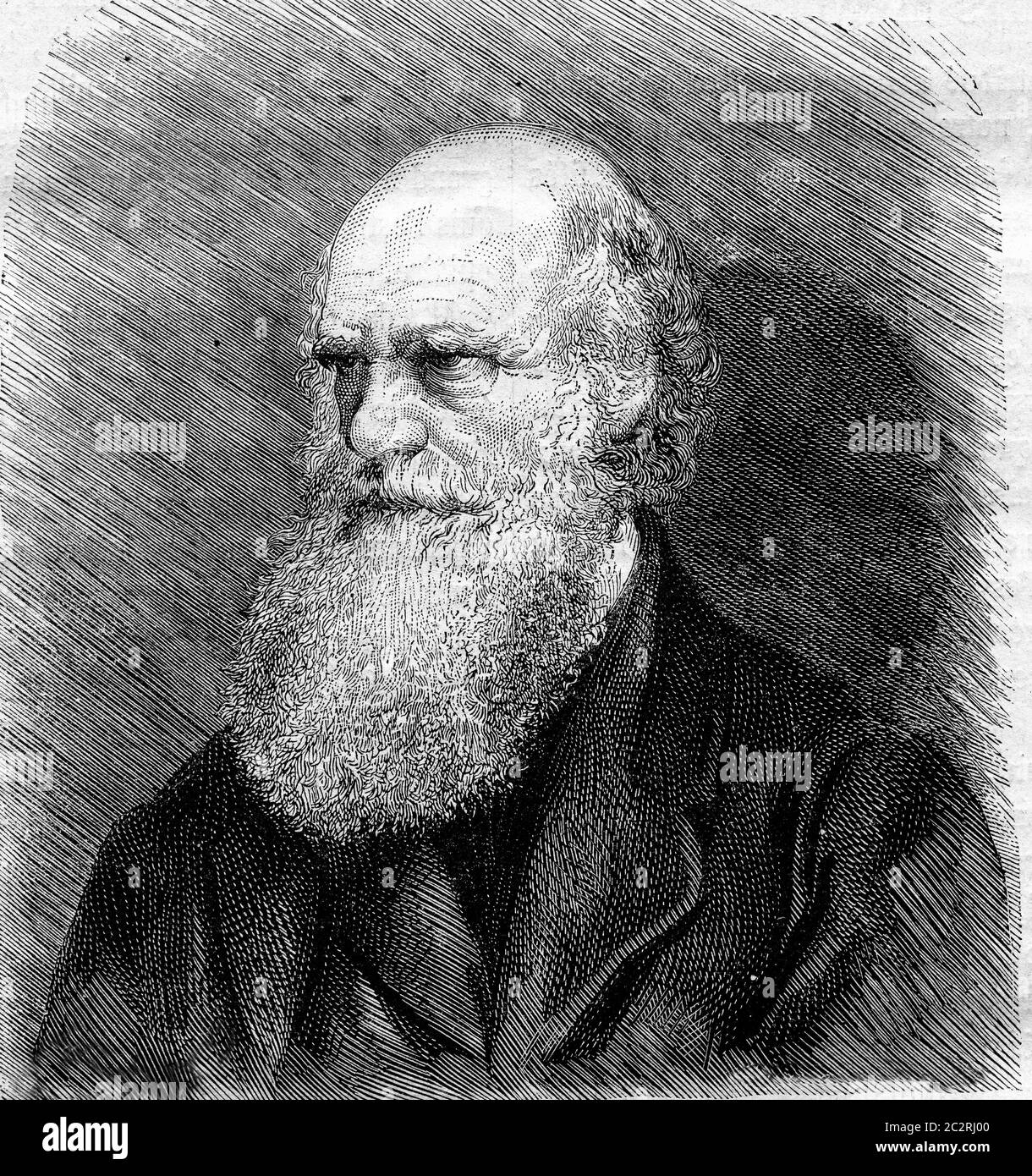 Charles Darwin starb im April 1882 nach einer Fotografie, Vintage graviert Illustration. Magasin Pittoresque 1882. Stockfoto