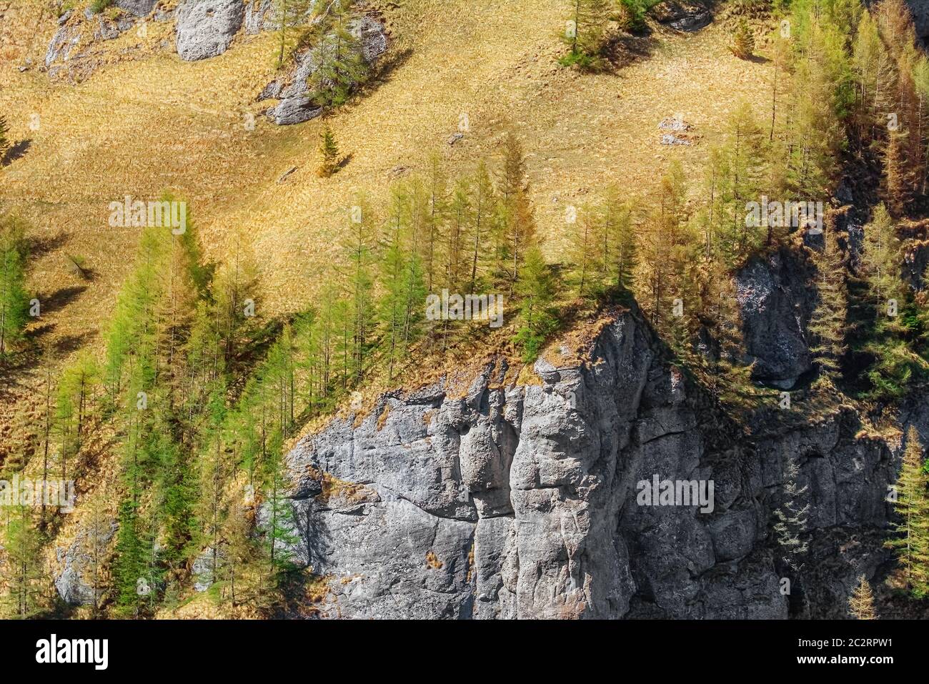 Berghang von Bucegi Stockfoto