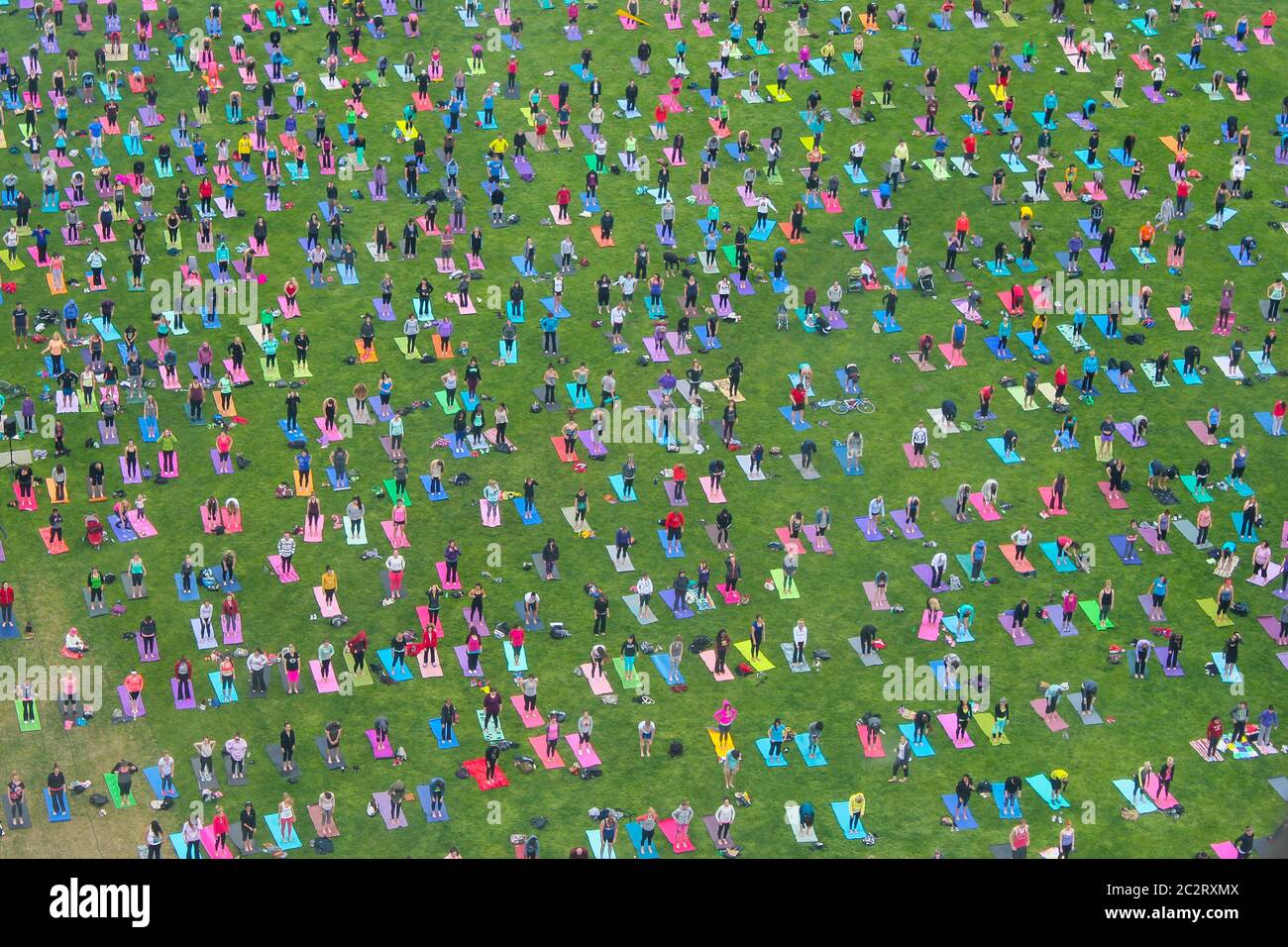 Eine große Gruppe von Menschen macht einen Yoga-Unterricht auf einer städtischen Wiese in Ottawa, Ontario, Kanada Stockfoto
