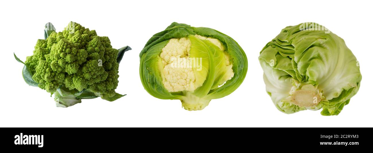 Verschiedene Arten von Kohl. Brokkoli, Blumenkohl und Kohl isoliert auf weißem Hintergrund. Mit Platz für Text. Сabbage mit Kopierplatz für Text Stockfoto