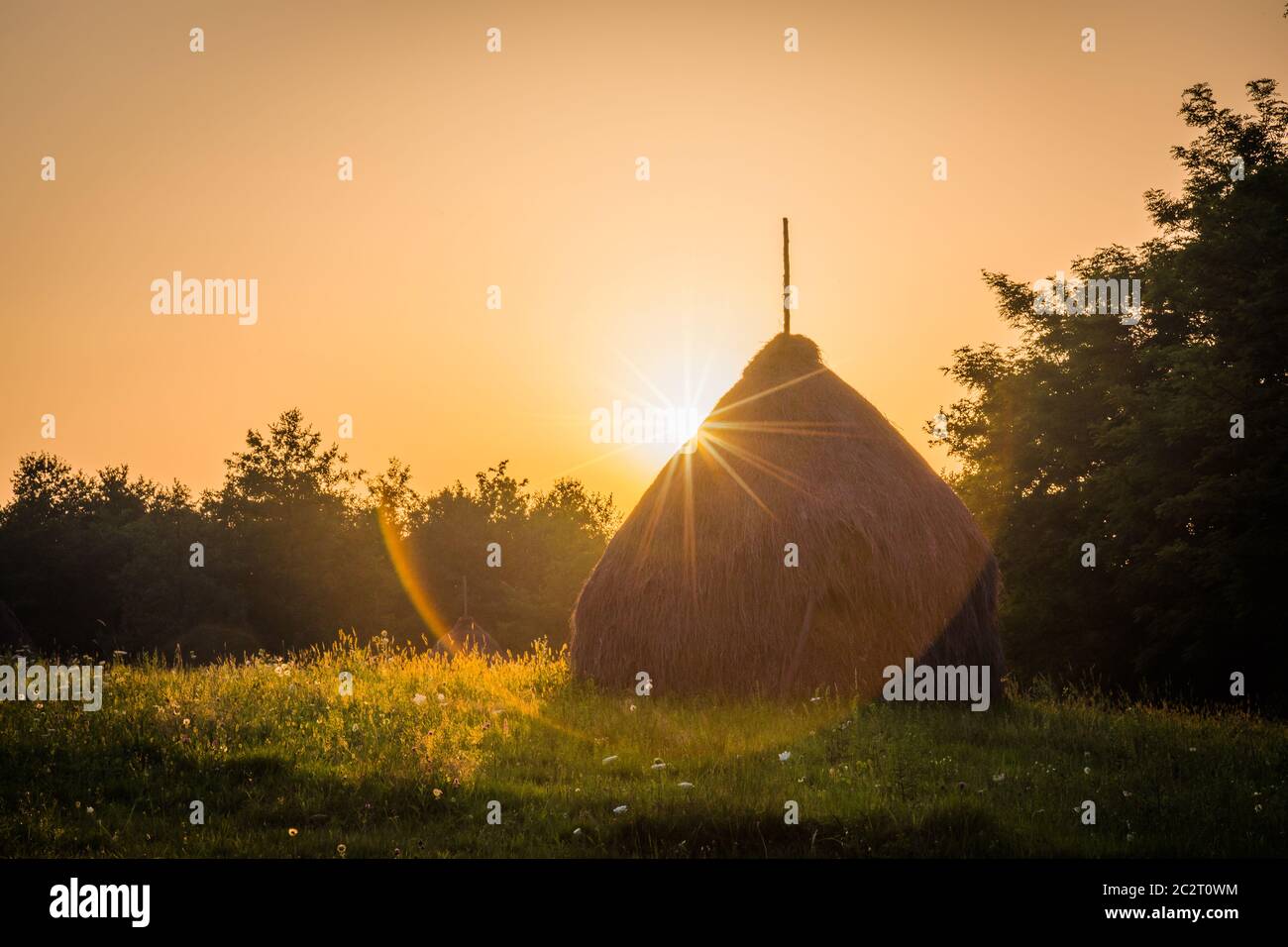 Haystacks bei Sonnenuntergang in Maramures die isolierte Region Bucovina Rumänien, Stockfoto