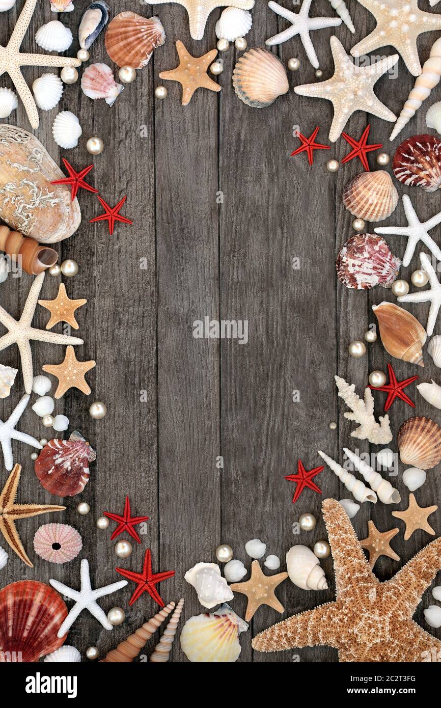 Seashell abstrakten Hintergrund Grenze mit einer Vielzahl von Muscheln und Perlen auf rustikalem Holz mit Copy-Raum. Stockfoto