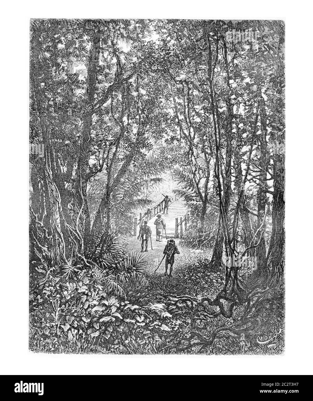 Überquerung einer kleinen Brücke im Dschungel in Oiapoque, Brasilien, Zeichnung von Riou nach einer Skizze von Dr. Crevaux, Illustration mit Weinlese. Le Tour du Mon Stockfoto