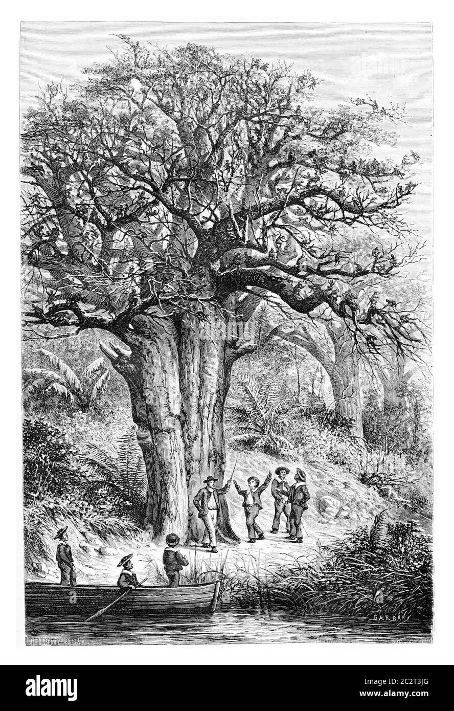 Affen im Garten von Jacintho Amoriz, Zeichnung von De Bar nach einer Skizze von Serpa Pinto, Illustration mit Weingravur. Le Tour du Monde, Reisen Stockfoto