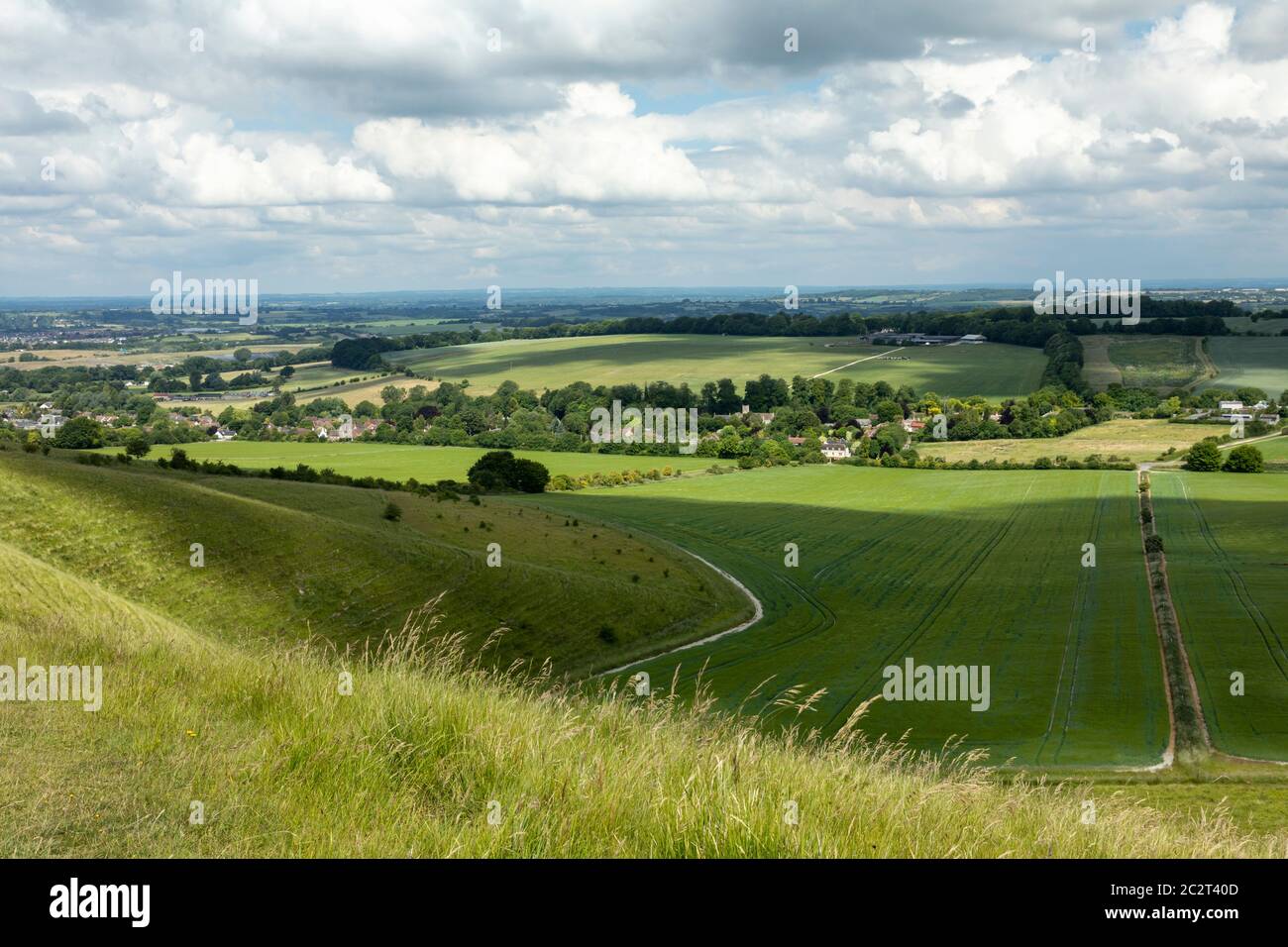 Blick auf die Kreide Wiltshire Downs von Cherhill Oldbury Castle Hill Fort, Cherhill, Wiltshire, England Großbritannien. Stockfoto