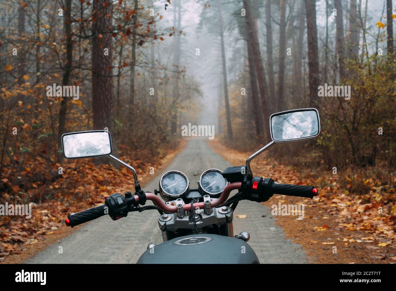 Motorrad in einem nebligen Kiefernwald. Fotos vom Fahrer. Spaziergang am Morgen Stockfoto