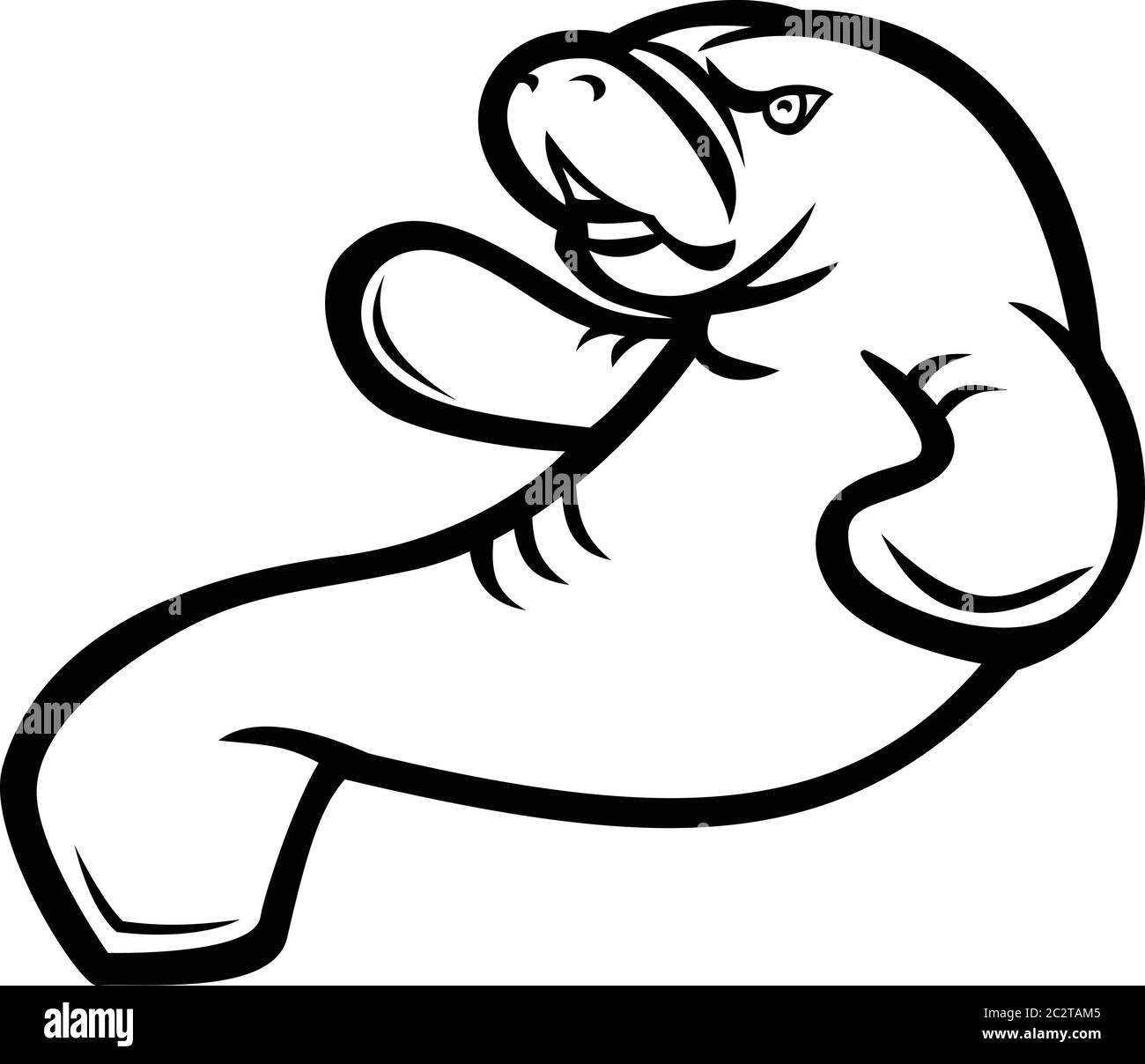 Schwarz-weiße Illustration eines wütenden Seekühen, Dugong oder Seenkuh, eines großen, voll aquatischen, meist pflanzenfressenden Meeressäugers, das von hier aus gesehen aufschwimmt Stock Vektor