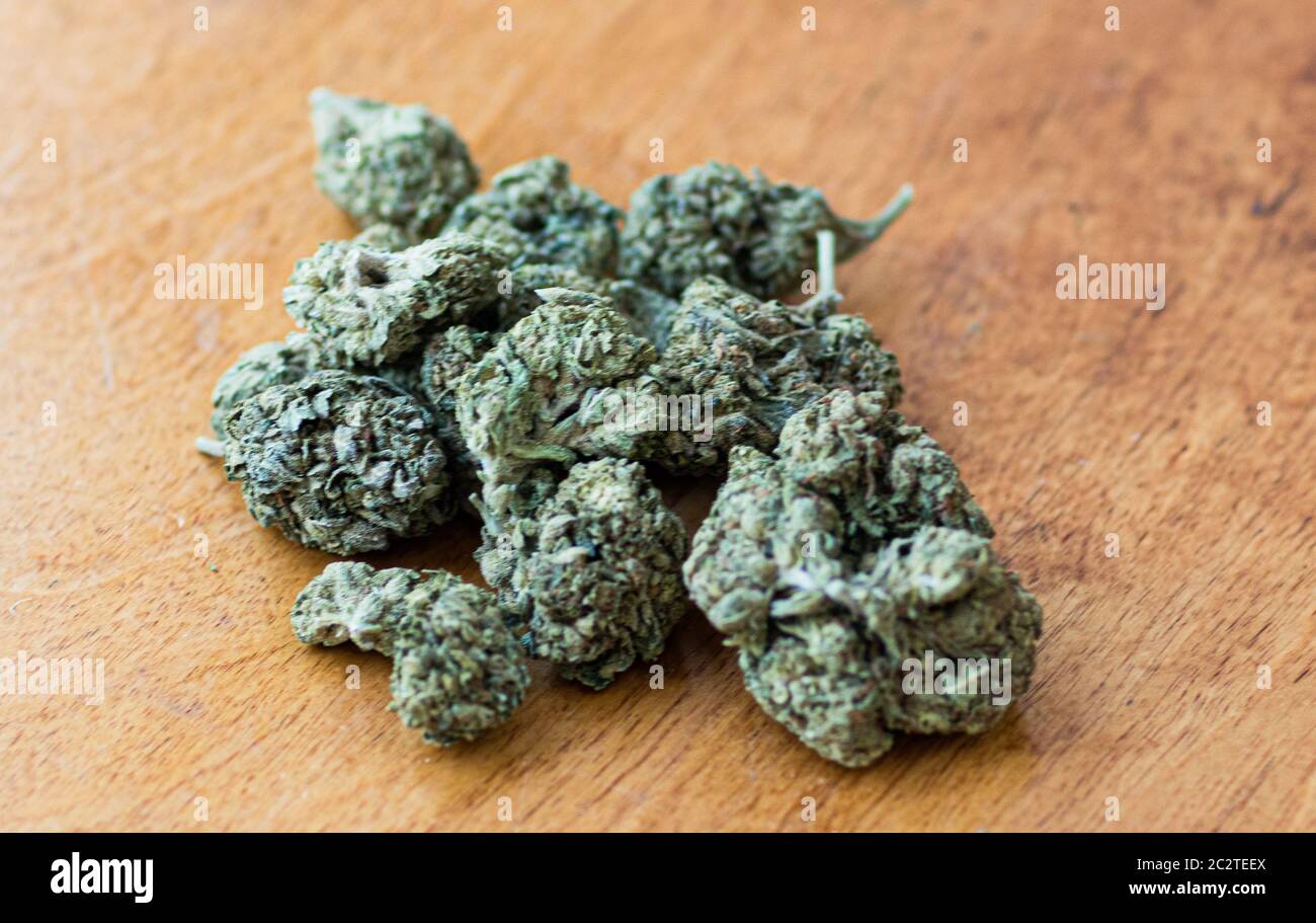 Marihuana Knospe Blume von Cannabis Nahaufnahme Stockfoto