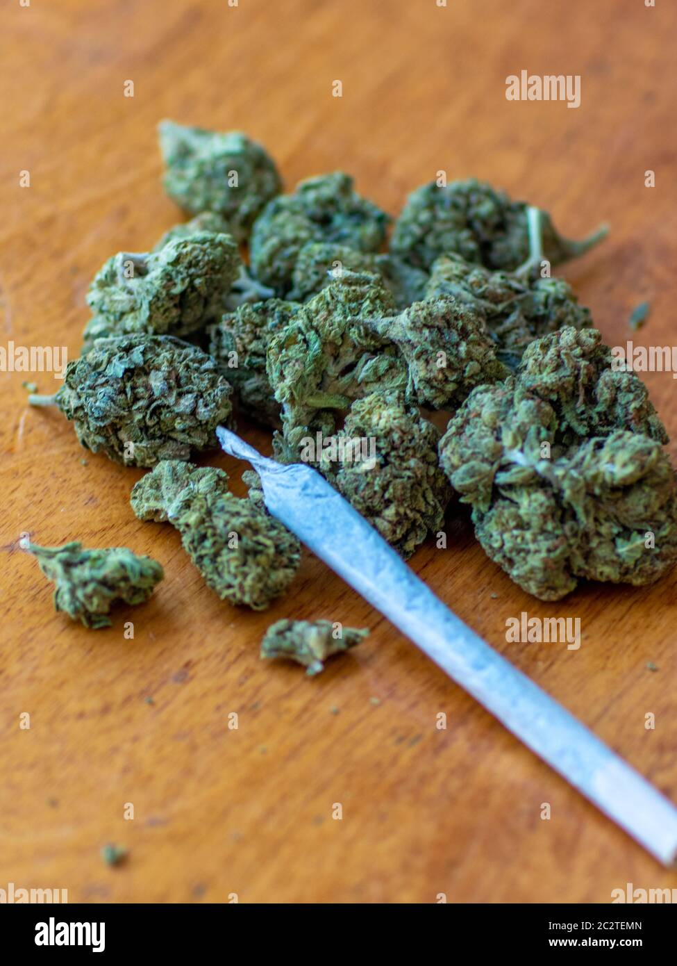 Marihuana Knospe Blume von Cannabis Nahaufnahme mit Cannabis-Gelenk Stockfoto