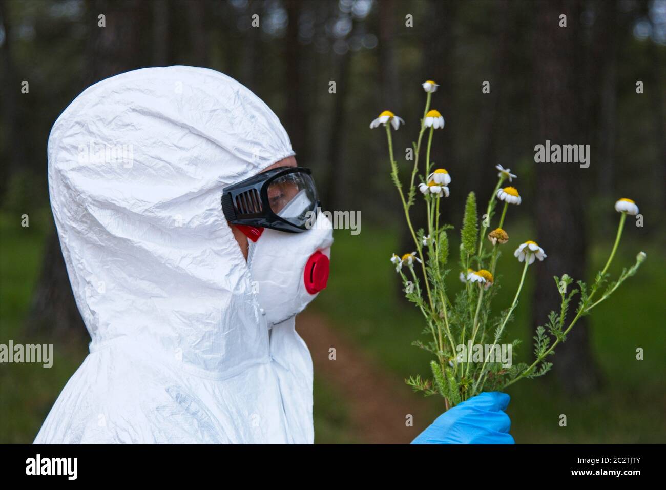 Person mit Sicherheitsanzug und Blumenstrauß in einem Waldgebiet. Stockfoto