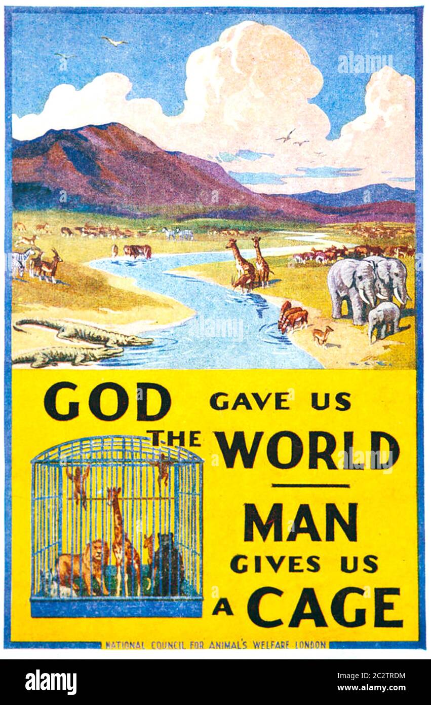 NATIONAL COUNCIL FOR ANIMALS WELFARE Poster in den 1930er Jahren Stockfoto