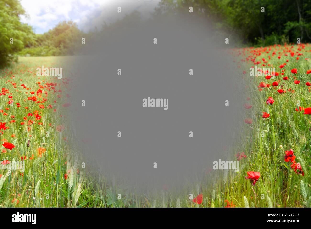 Makuladegeneration Stockfoto