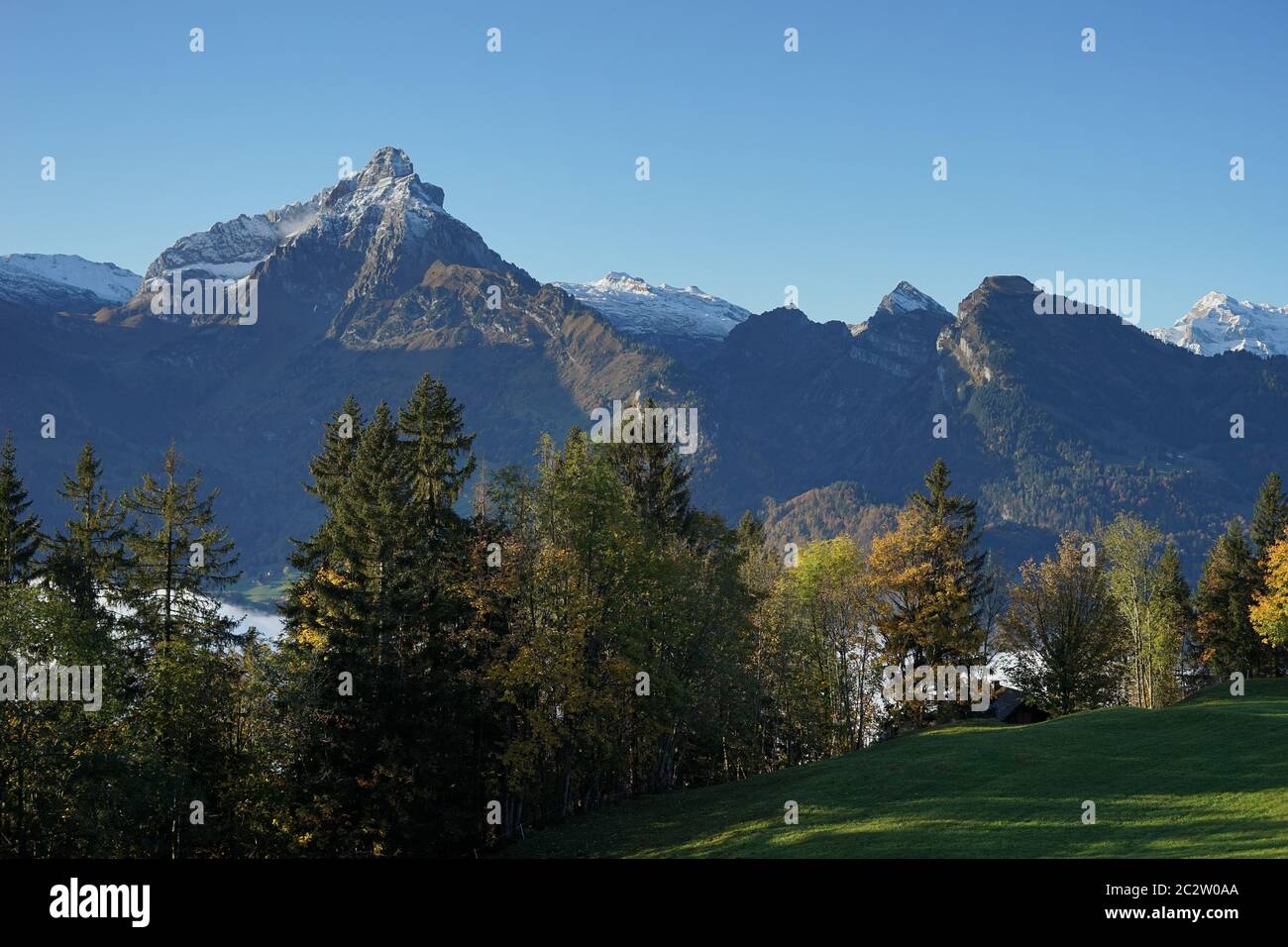 Bergwiese, gemischter Herbstwald, Nebel und hohe Berge in der Schweiz. Stockfoto