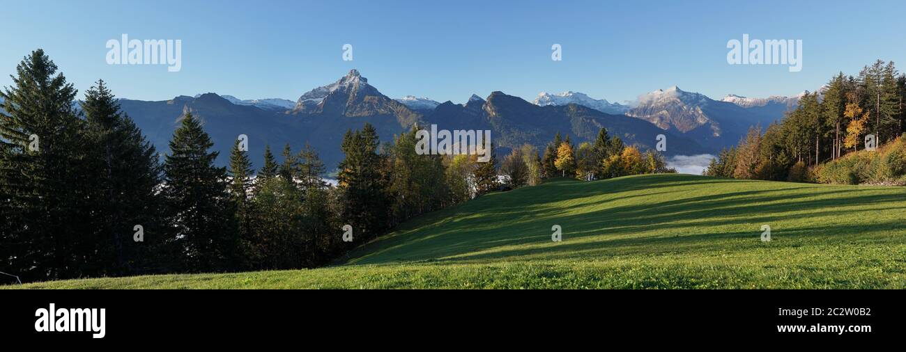 Bergwiese, gemischter Herbstwald, Nebel und hohe Berge in der Schweiz. Stockfoto