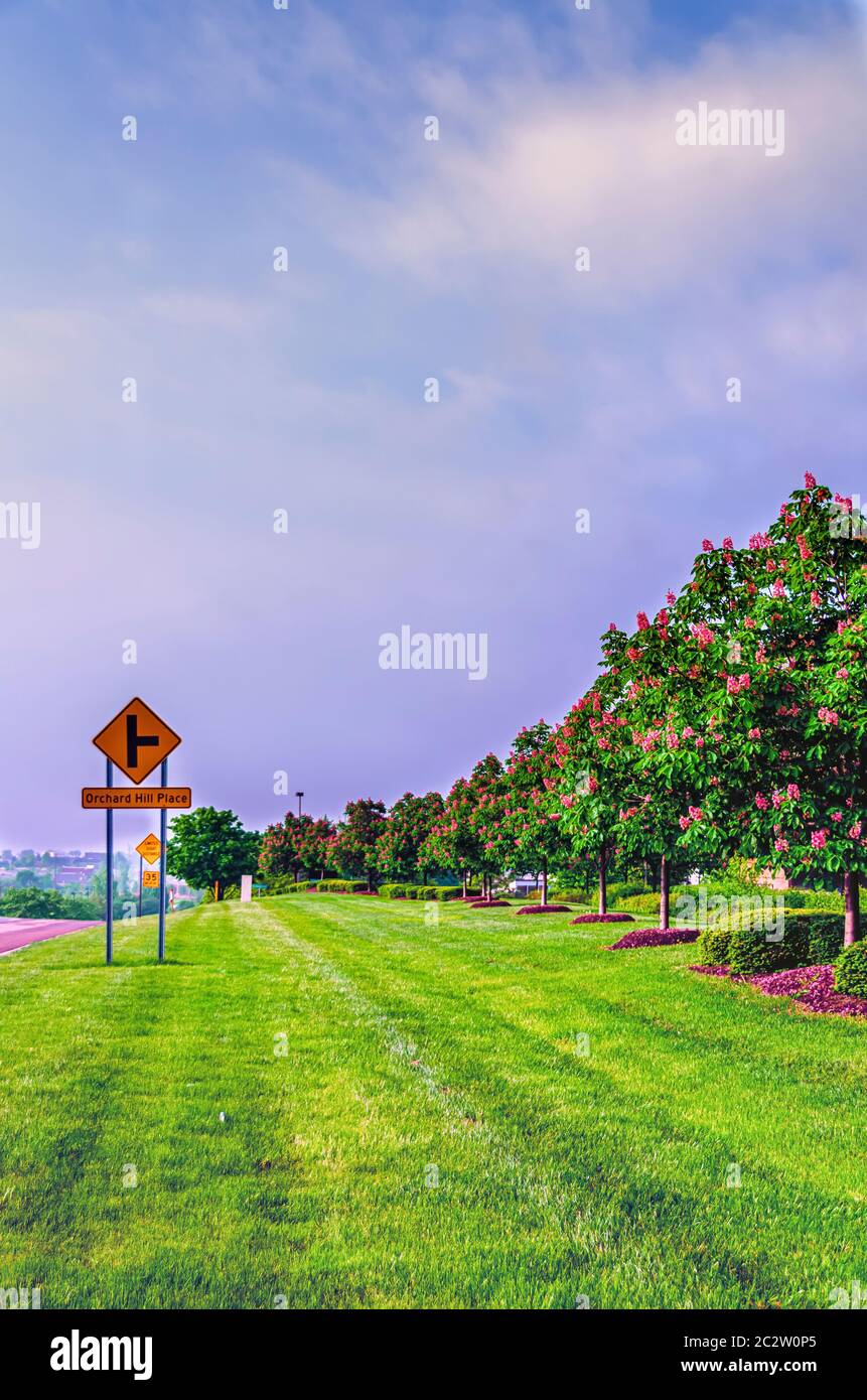 Eine gut gepflegte Straßenschulter neben einer belebten Straße in Michigan. Stockfoto