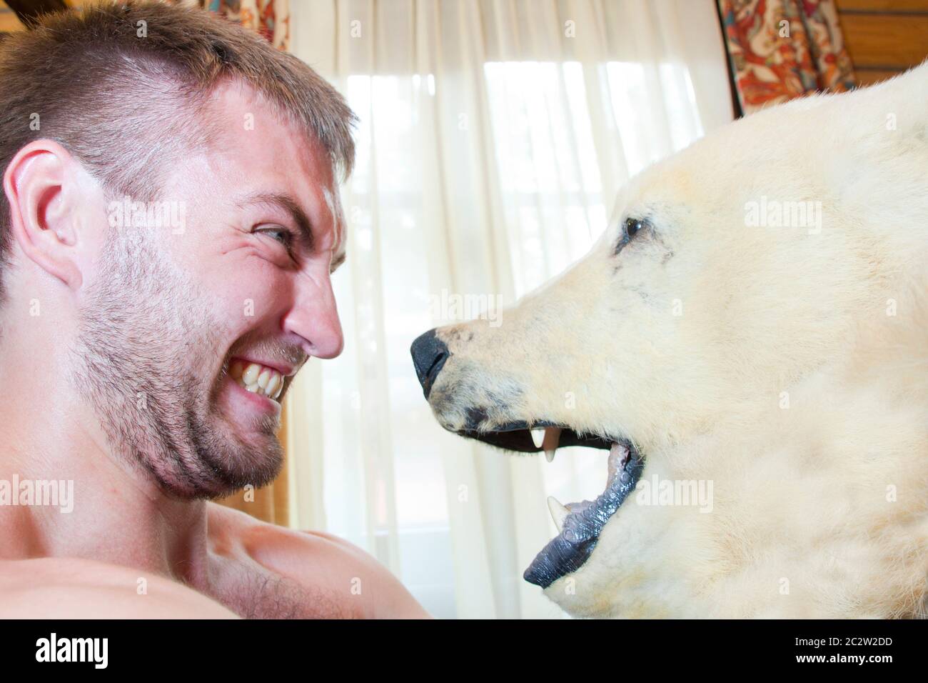 Mann Vs Eisbären. Kopf an Kopf Stockfoto