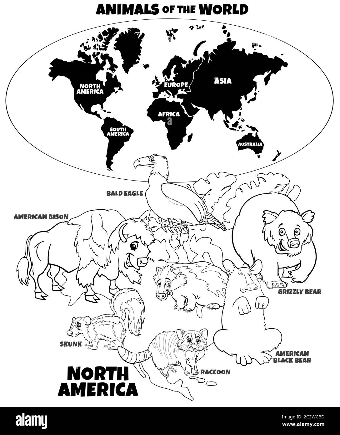 Pädagogische Illustration der nordamerikanischen Tiere Farbe Buch Stockfoto