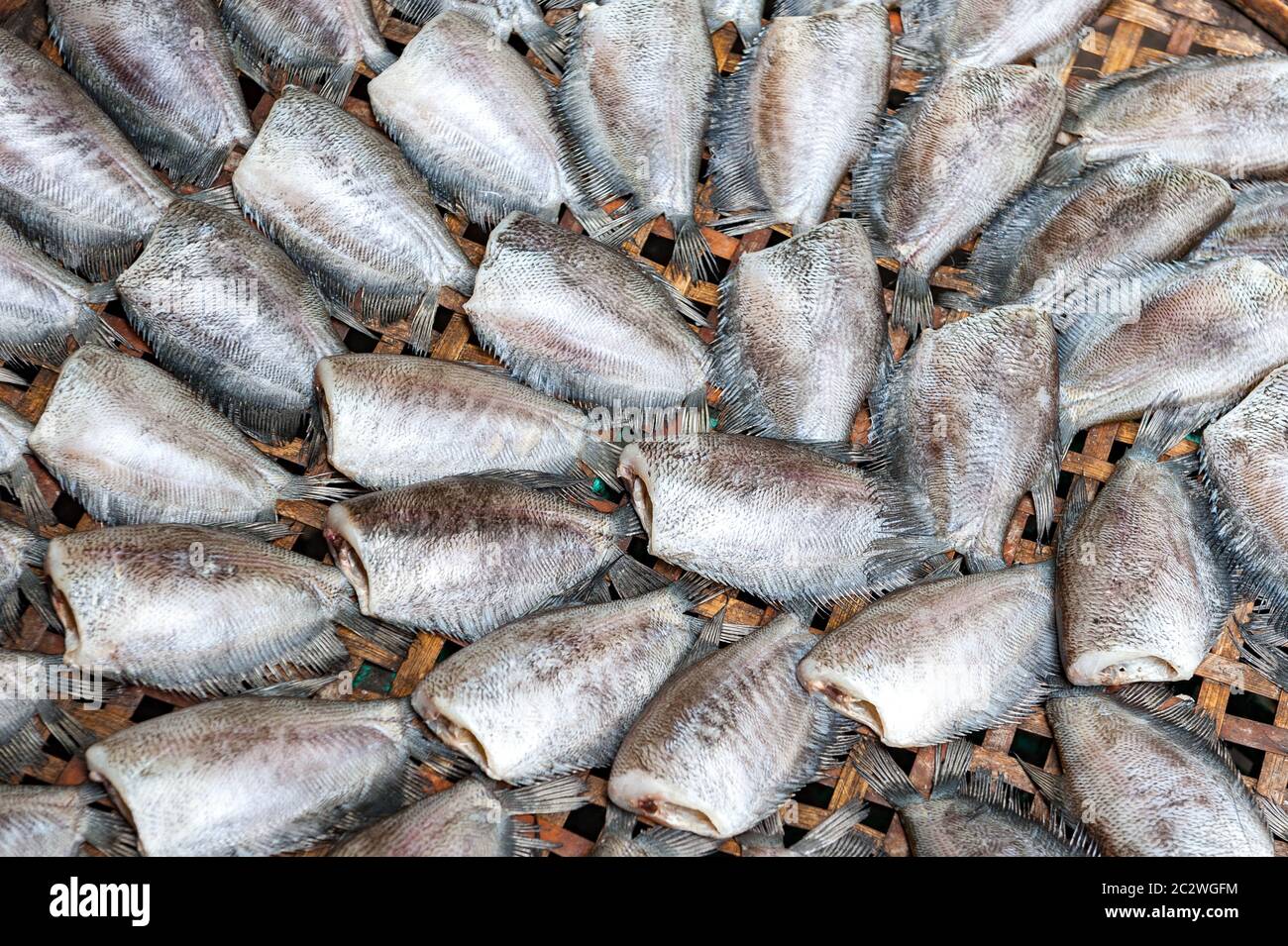 Frischer Fisch auf einem Markt in Bangkok, Thailand Stockfoto