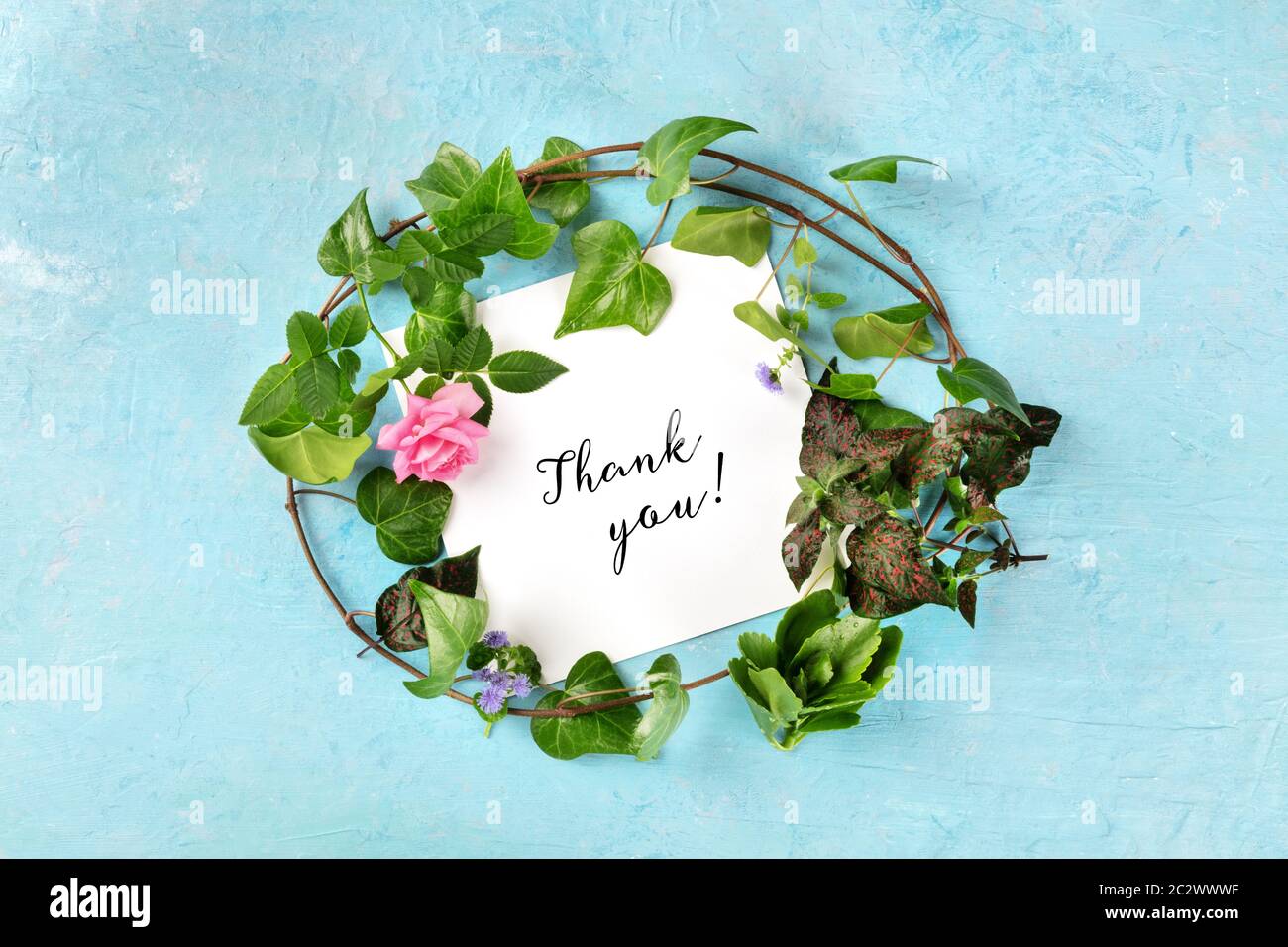 Danke Karte mit einem Kranz von Efeu mit leuchtenden grünen Blätter und eine Rose Blume, Overhead shot auf einem blauen Hintergrund Stockfoto