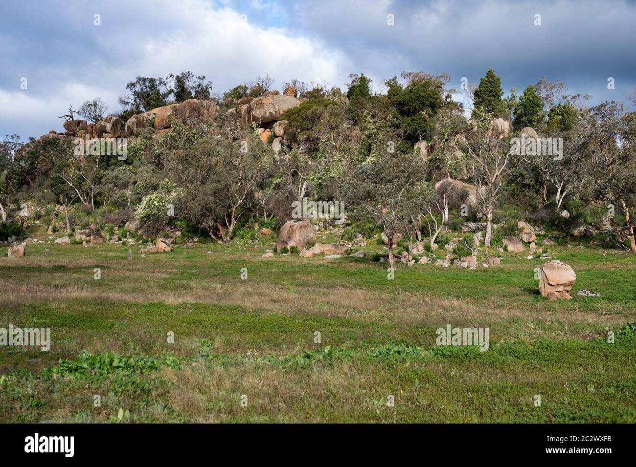 Escort Rock, Ort des Gold Escort Raubes von 1862 in der Nähe von Eugowra, New South Wales, Australien. Stockfoto