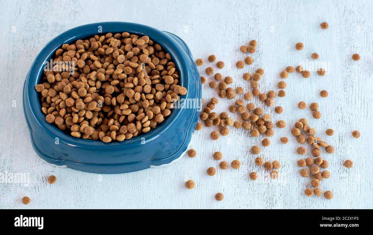 Trockenes Tierfutter. Futter für Hunde. Katzenfutter. Feines trockenes Essen in einer Schüssel. Stockfoto