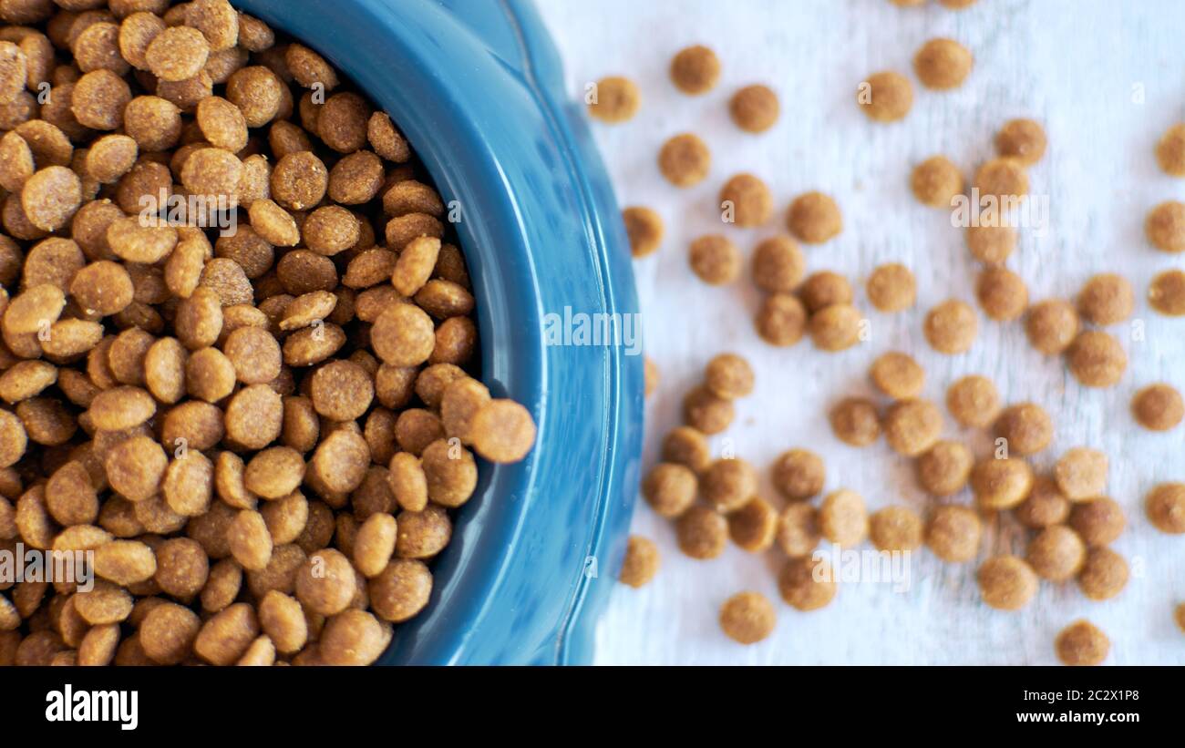 Trockenes Tierfutter. Futter für Hunde. Katzenfutter. Feines trockenes Essen in einer Schüssel. Nahaufnahme Stockfoto