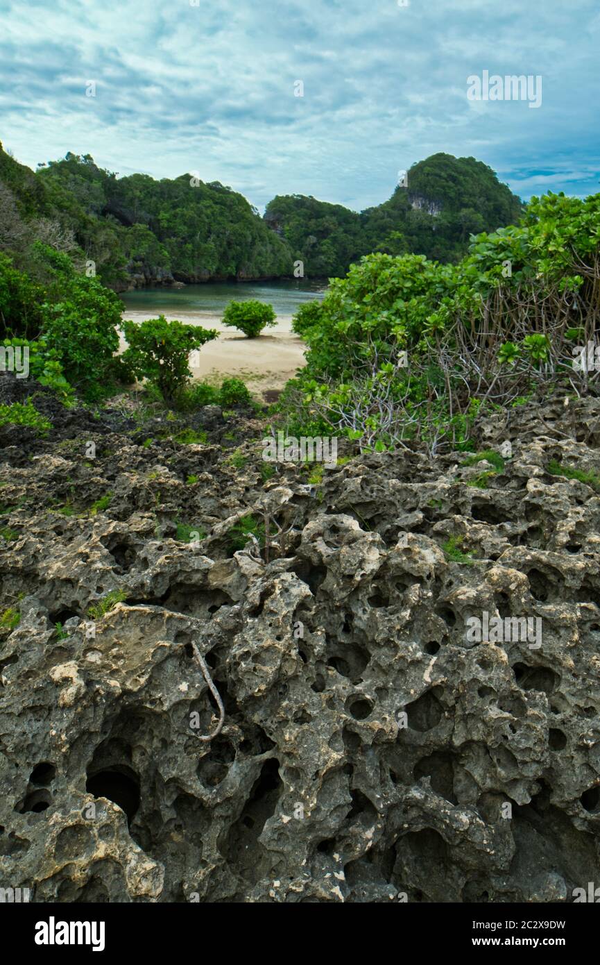 Versuchen, private Erhaltung, Sempu Insel zu erkunden Stockfoto