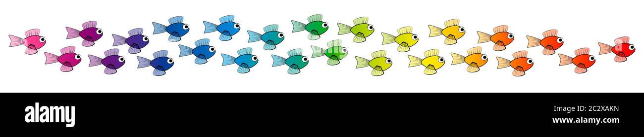 Regenbogen farbige Schule von Fischen, Farbverlauf Spektrum - Comic-Illustration auf weißem Hintergrund. Stockfoto